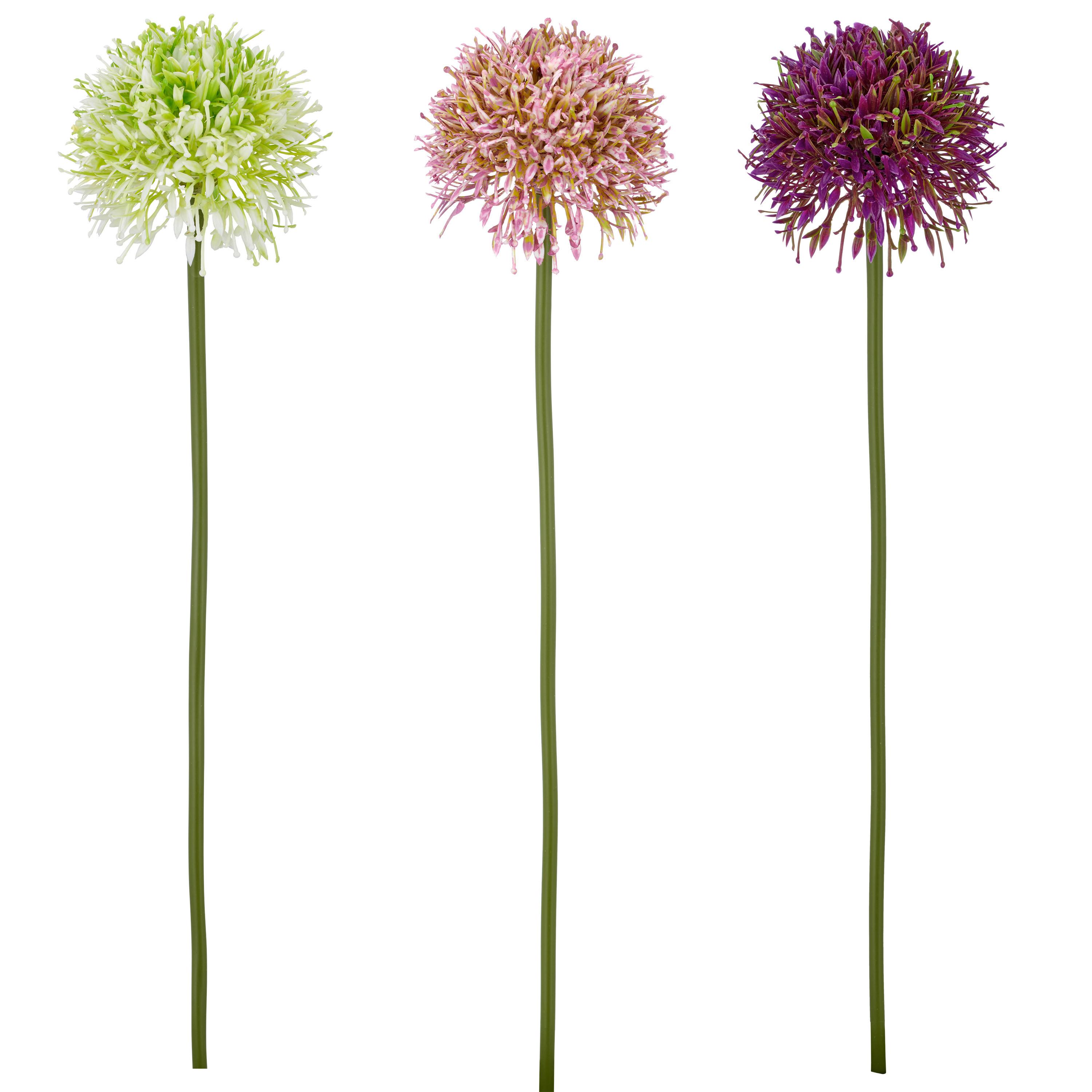 ALLIUM ALLIUM - Rosa/Grün, Basics, Kunststoff/Textil (45cm)