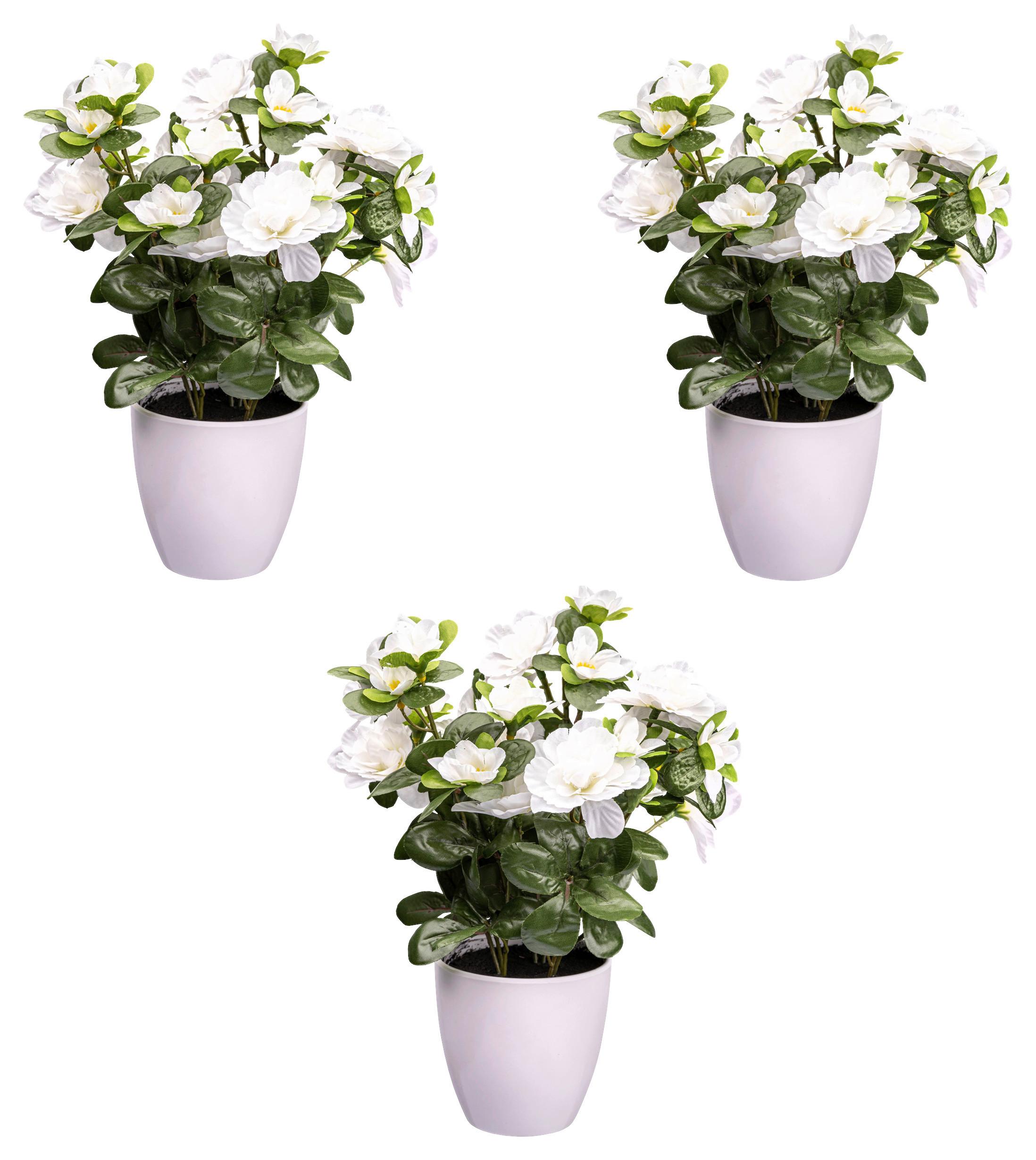 Kunstpflanze Blühpflanzen Weiß/Grün/Weiß, 26 cm - Weiß/Grün, Design, Kunststoff (26cm) - P & B