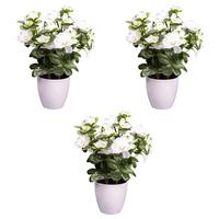 Kunstpflanze Blühpflanzen Weiß/Grün/Weiß, 26 cm - Weiß/Grün, Design, Kunststoff (26cm) - P & B