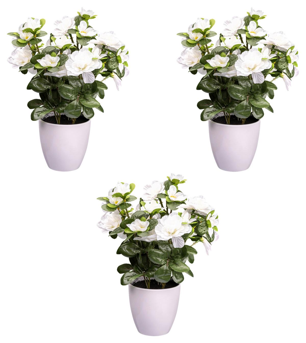 Kunstpflanze Blühpflanzen Weiß/Grün/Weiß, 26 cm - Weiß/Grün, Design, Kunststoff (26cm) - P & B