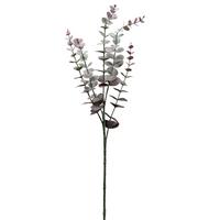 Kunstpflanze Eukalyptuszweig Lila L: 73 cm, Mira - Lila/Grau, Natur, Kunststoff (73cm)