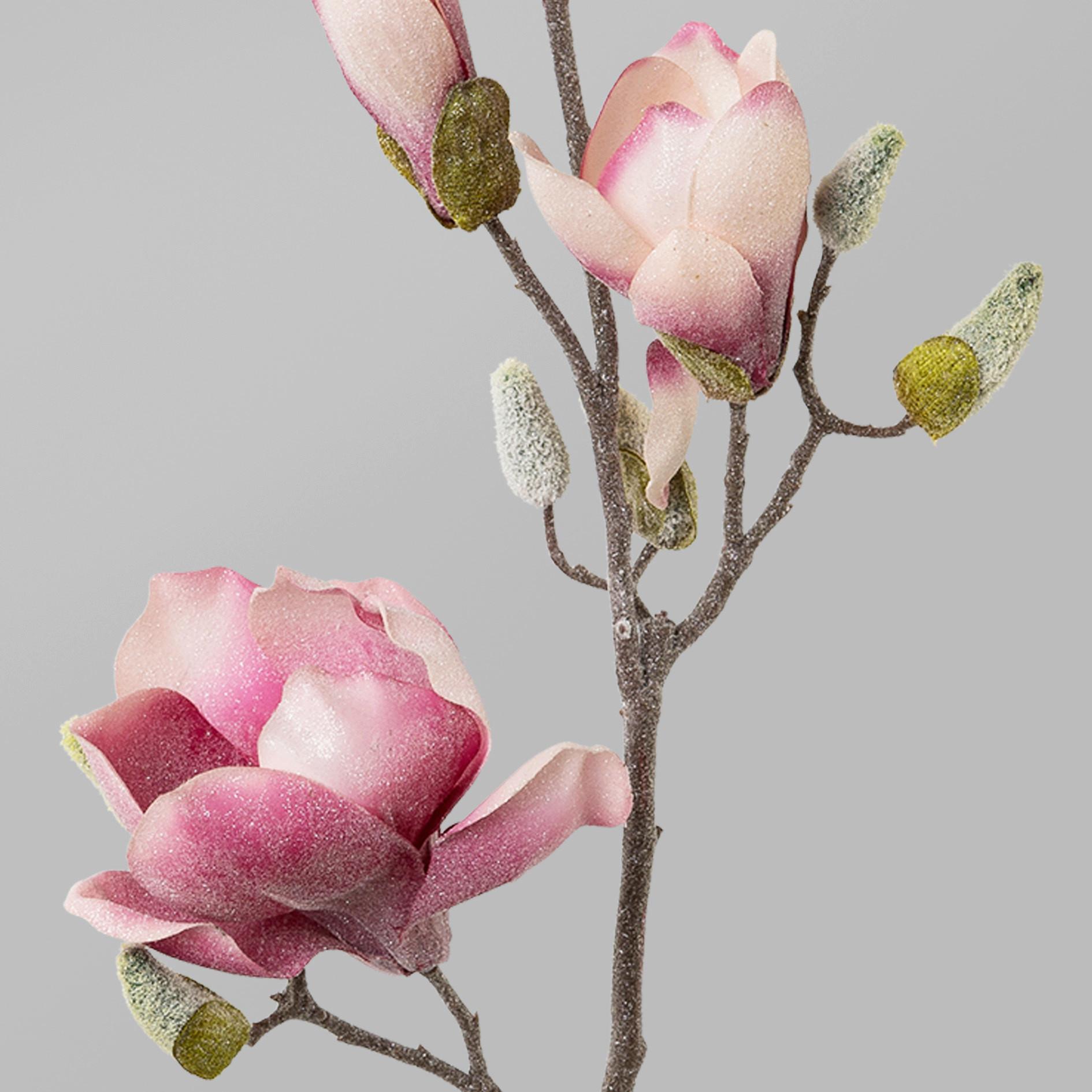 Kunstpflanze Magnolie Altrosa / Braun L: 103 cm - Altrosa/Braun, Trend, Kunststoff (103cm) - MID.YOU