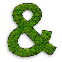 Moosbild Grün B: 25 cm - Schwarz/Grün, Basics, Naturmaterialien/Holz (25/22/4cm)