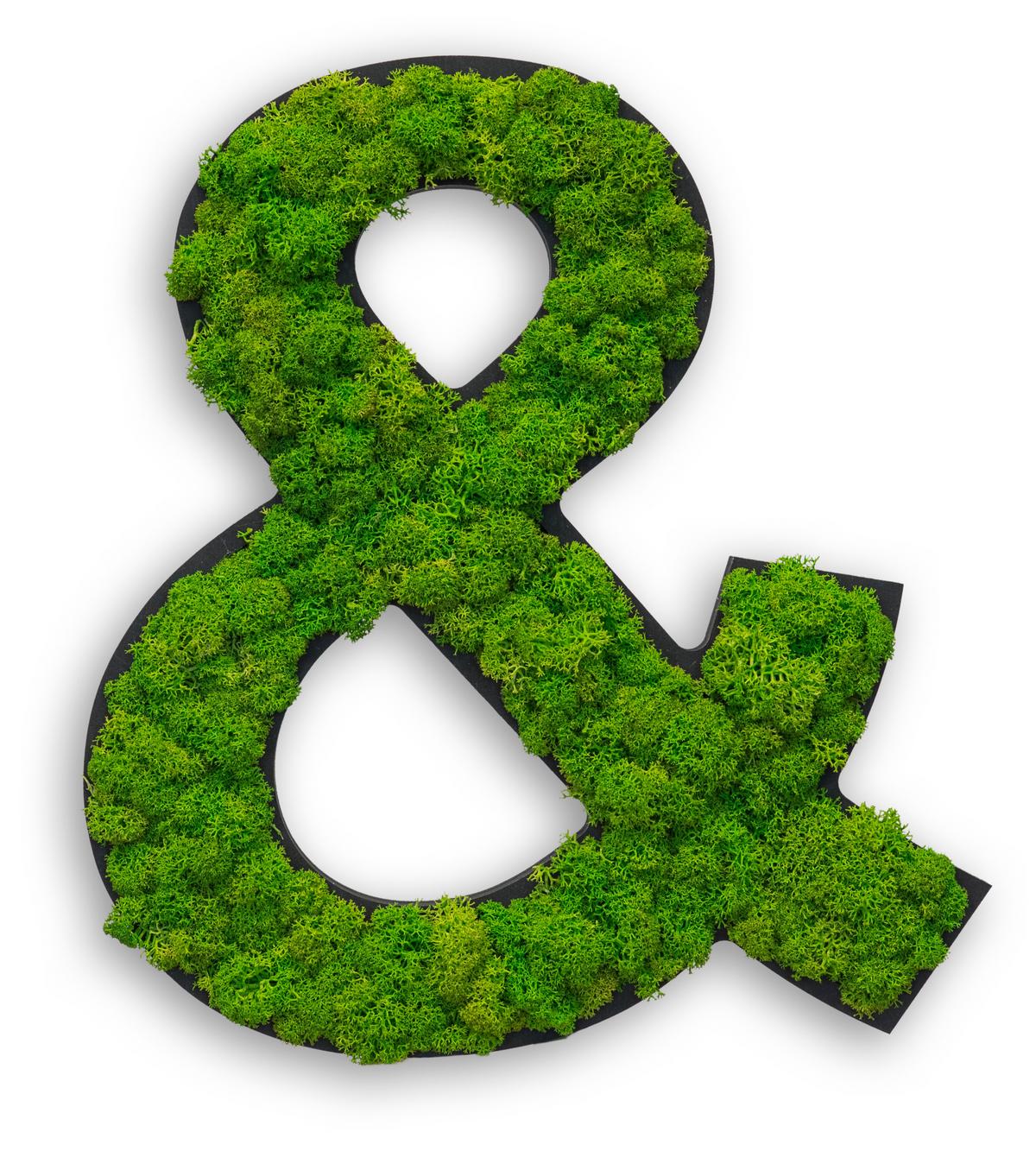 Moosbild Grün B: 25 cm - Schwarz/Grün, Basics, Naturmaterialien/Holz (25/22/4cm)