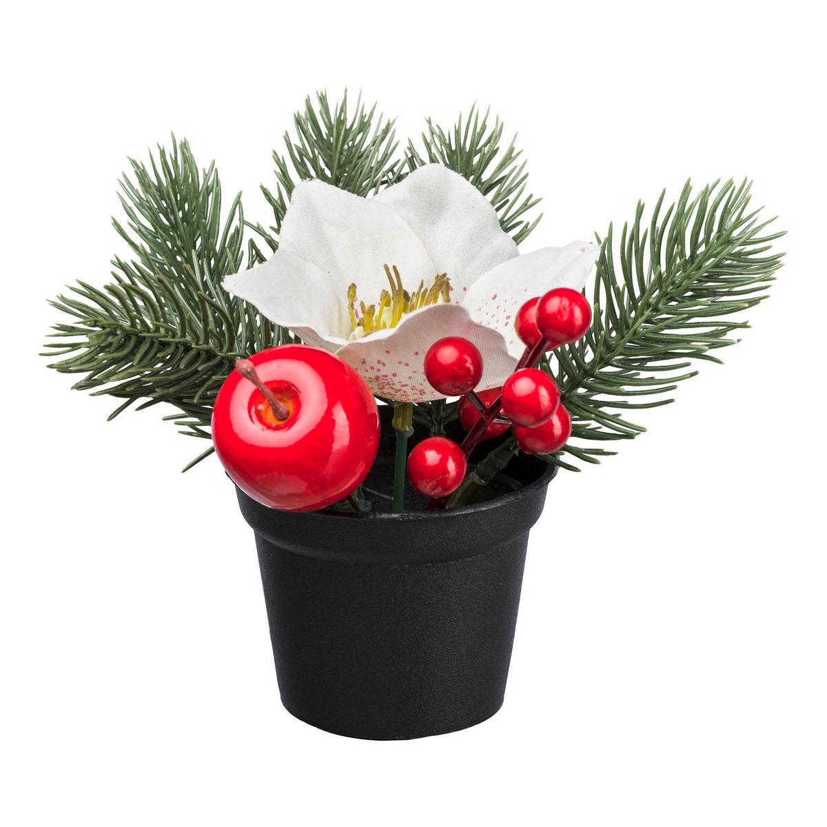 Kunstpflanze Christrose Rot / Weiß H: 13 cm Tea - Rot/Weiß, MODERN, Kunststoff (13cm)
