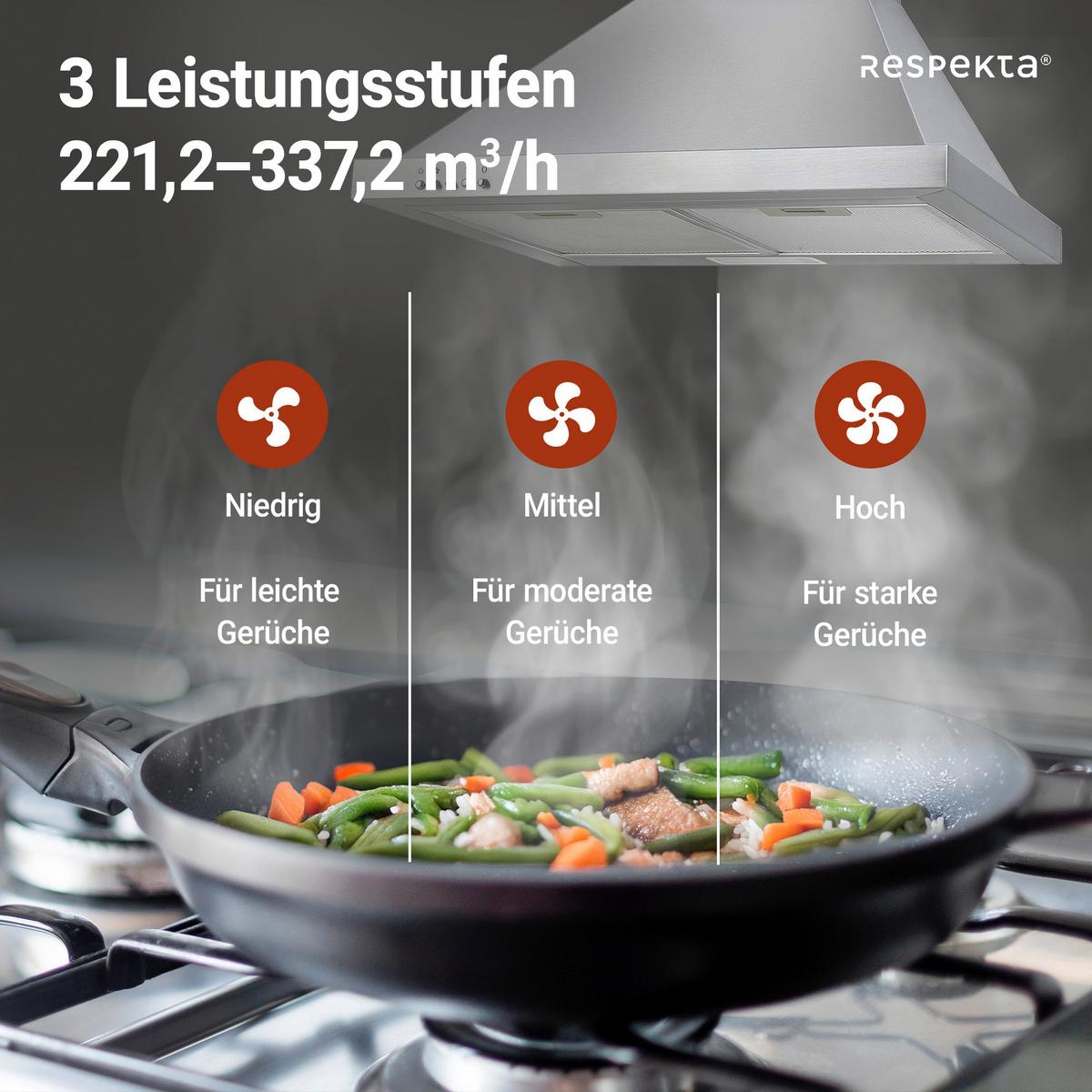 Dunstabzugshaube Respekta Dalia Edelstahlfarben B: 60 Cm - Edelstahlfarben, Trend, Metall (60/70-108/50cm) - Respekta