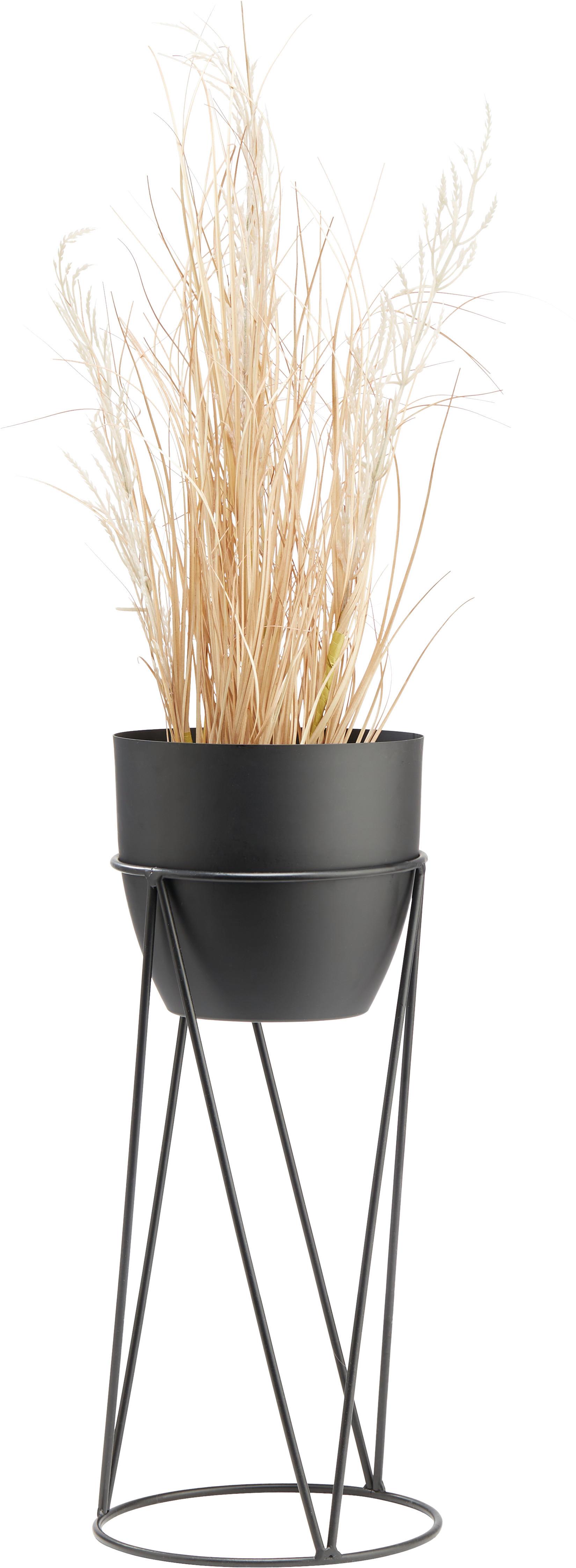 Obal Na Kvetináč Eastside, Ø/v: 22/50cm - čierna, kov (22/50cm) - Modern Living