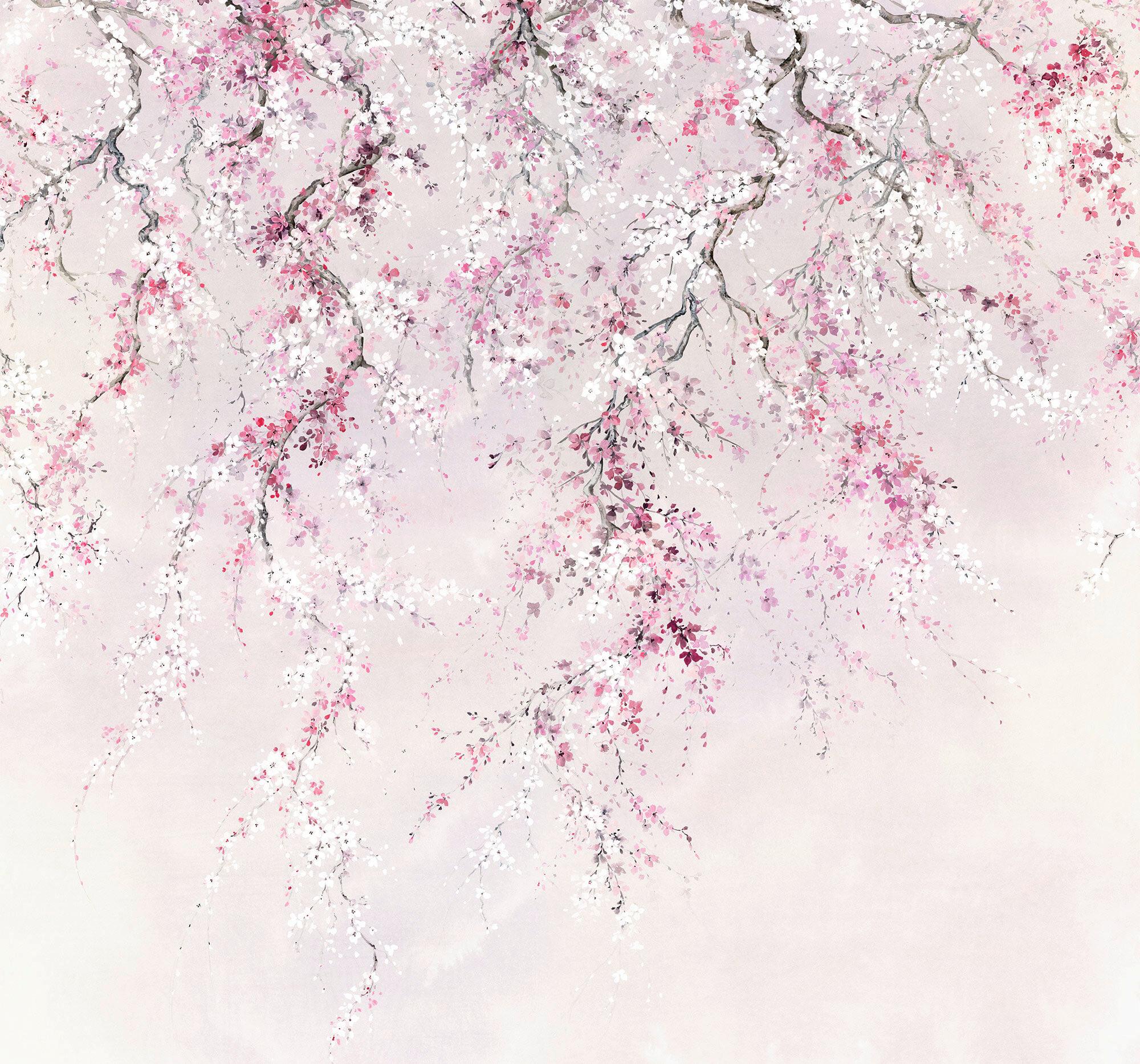 Fototapete Kirschblüten - Multicolor, Trend, Papier (300/280cm) - Komar