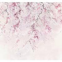 Fototapete Kirschblüten - Multicolor, Trend, Papier (300/280cm) - Komar