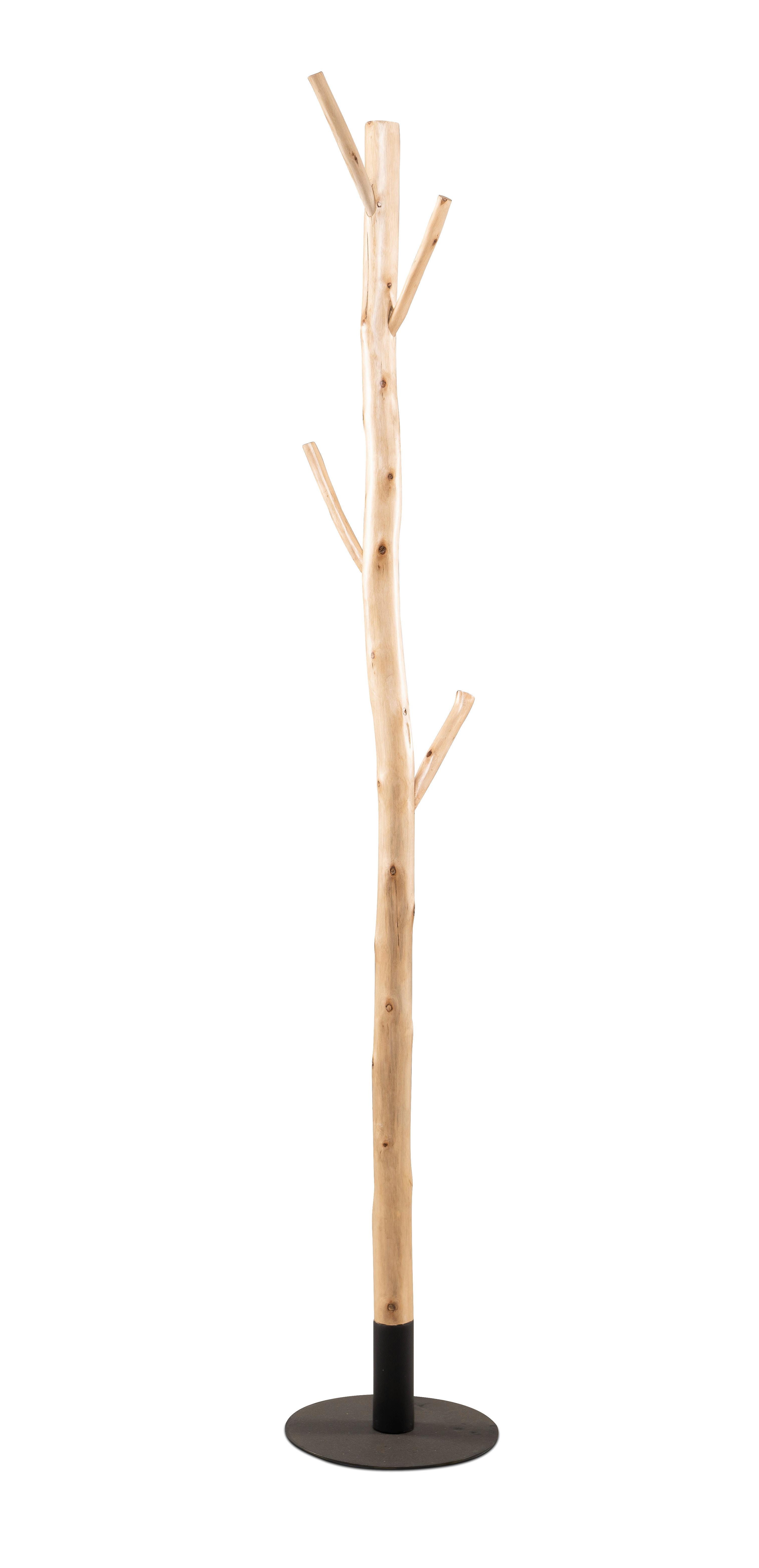 ŠATNÍ STOJAN SAMUEL 3 - barva eukalyptového dřeva, Moderní, dřevo (30/180cm) - Mömax