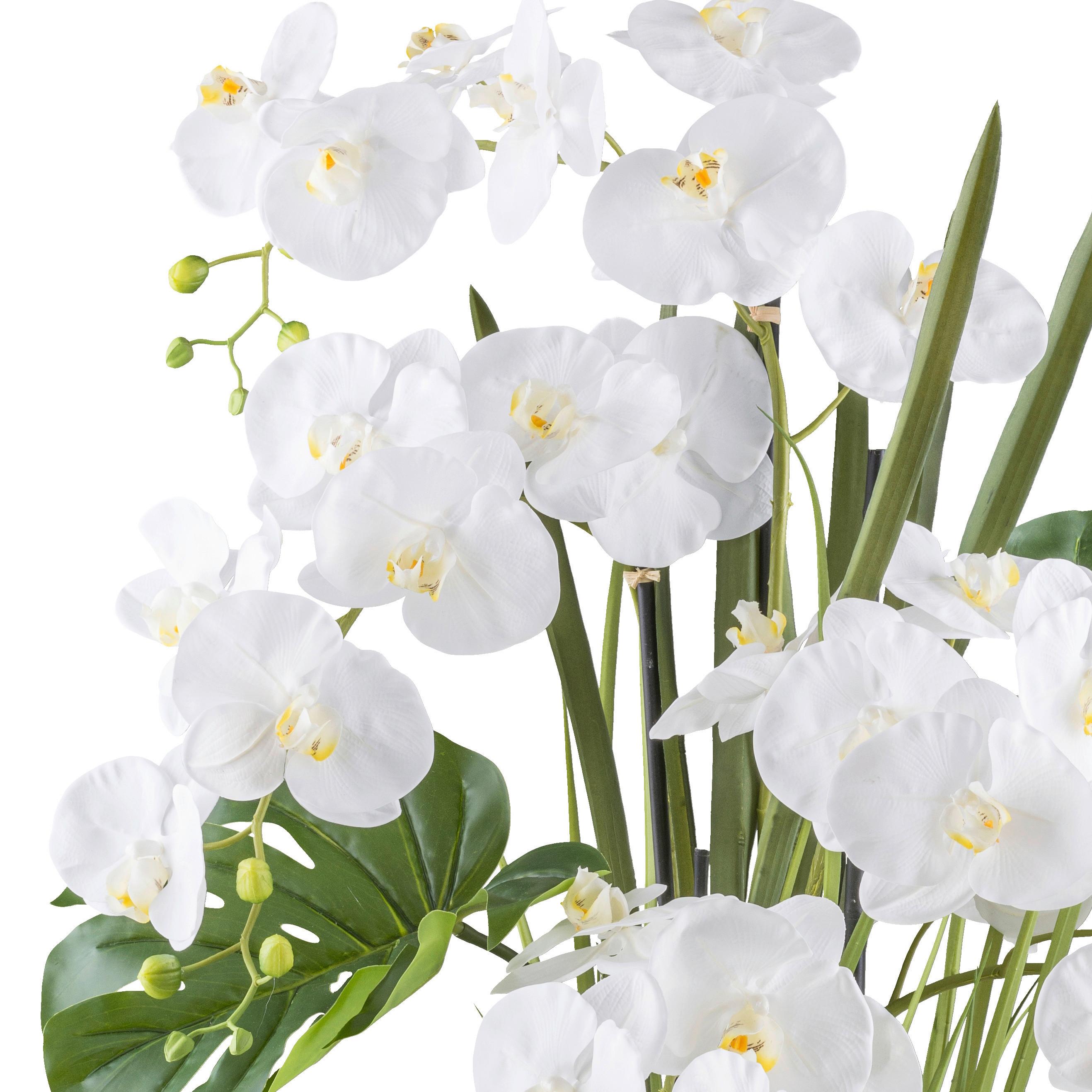 Kunstpflanze Orchideen Creme/Grün/Weiß, 110 cm - Creme/Weiß, Design, Kunststoff (110cm) - P & B