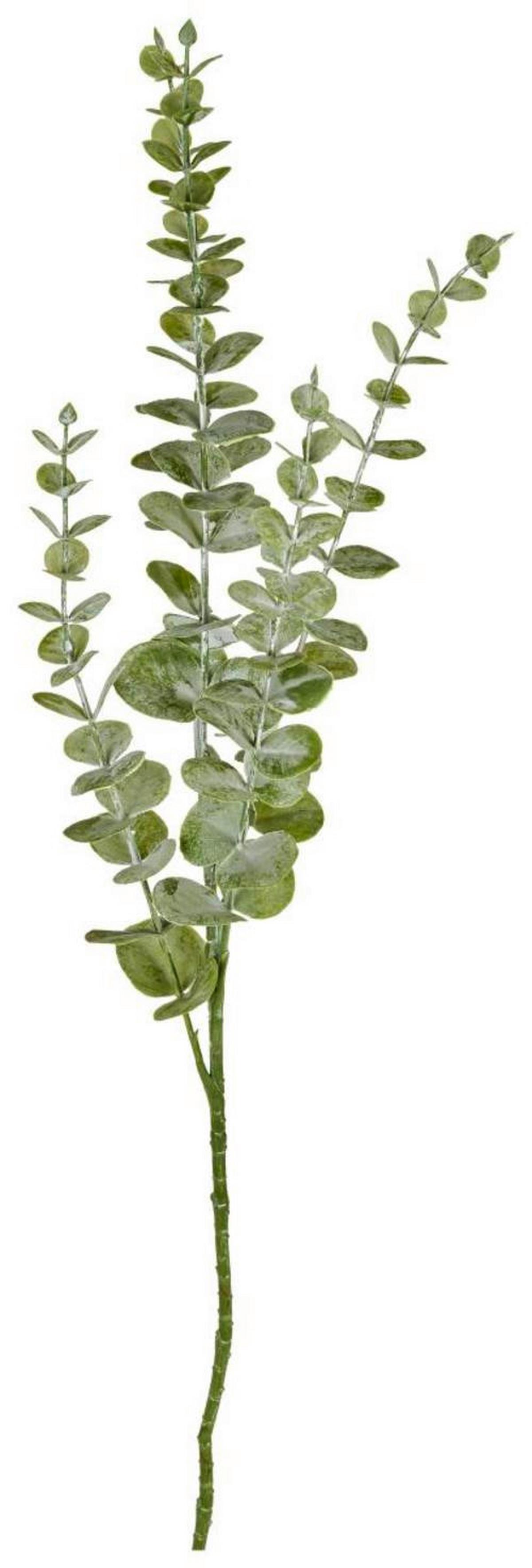 Műnövény Eukaliptusz - szürke/zöld, Natur, műanyag (73cm)