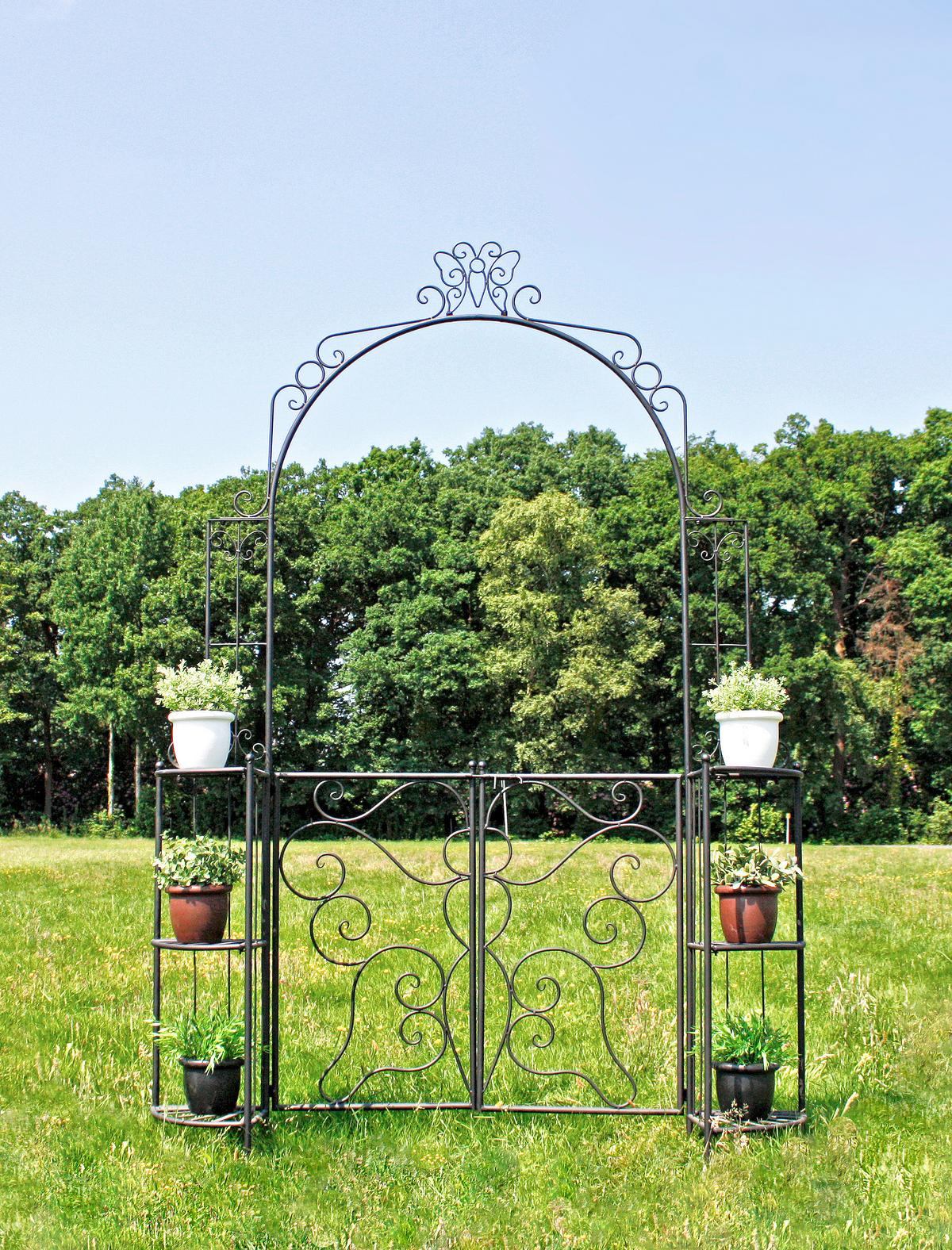 Rosenbogen mit Tür aus Stahl Laki BxH: ca. 156x233 cm - Schwarz, MODERN, Metall (156/233/29cm)