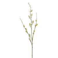 Umělá r0stlina Bodlák, V: 97cm - bílá, Natur, plast (97cm) - Modern Living