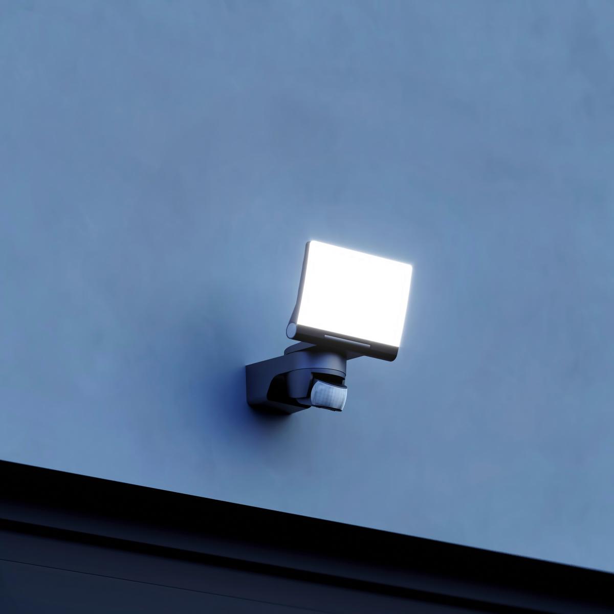 LED-Außenleuchte Led Strahler XLed Home 2 S - Basics (16,1/18/21,8cm) - Steinel