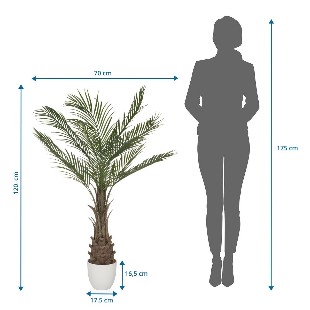 Kunstpflanze Dracaena Braun/weiß/grün B: 70 Cm - Weiß/Braun, MODERN, Kunststoff (70/120/70cm) - MID.YOU