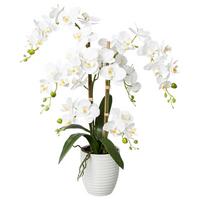 Kunstpflanze Orchideen Weiß, Topf: Weiß, H: 67 Cm - Weiß/Grün, Design, Keramik/Kunststoff (67cm) - P & B