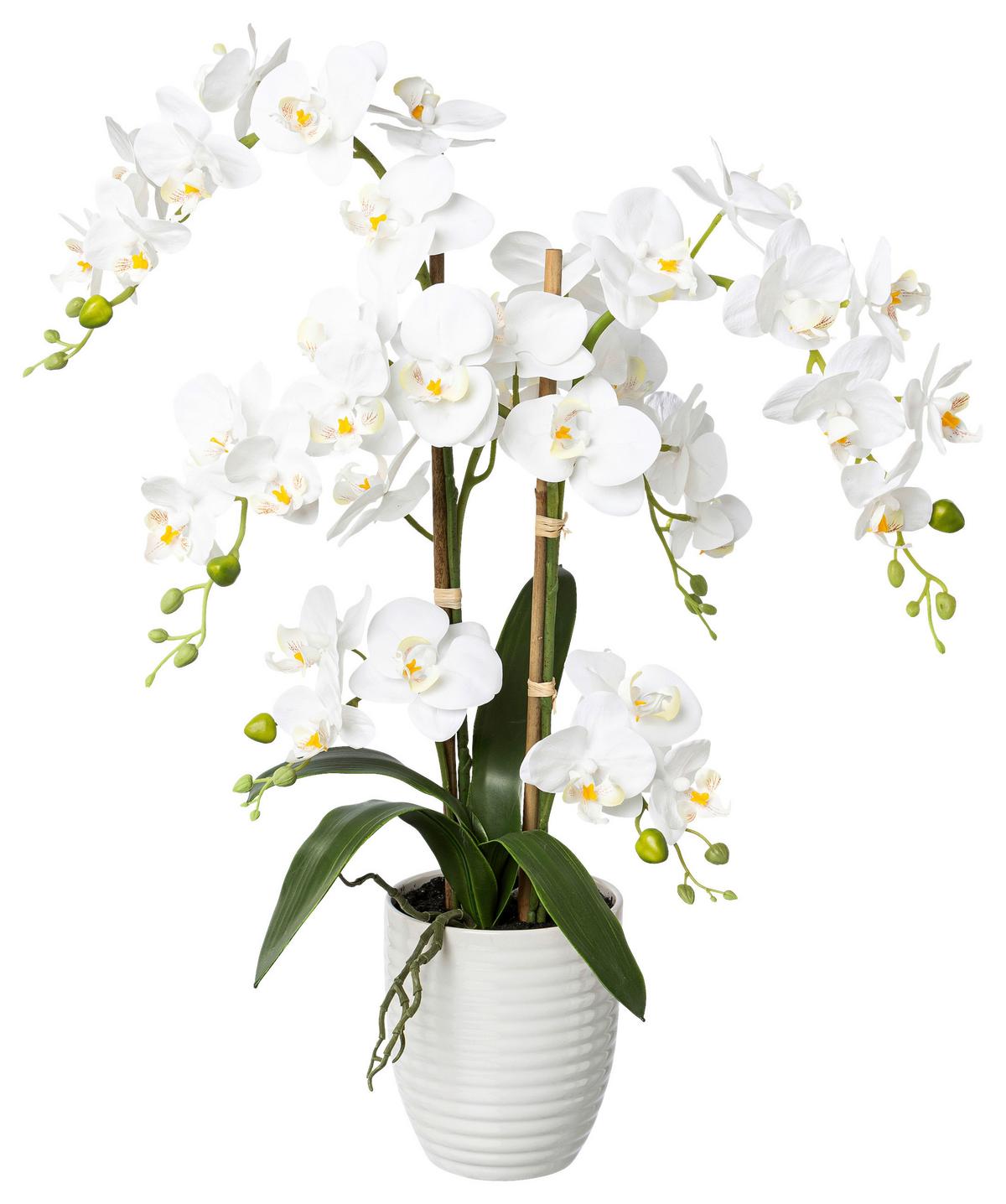 Kunstpflanze Orchideen Weiß, Topf: Weiß, H: 67 Cm - Weiß/Grün, Design, Keramik/Kunststoff (67cm) - P & B
