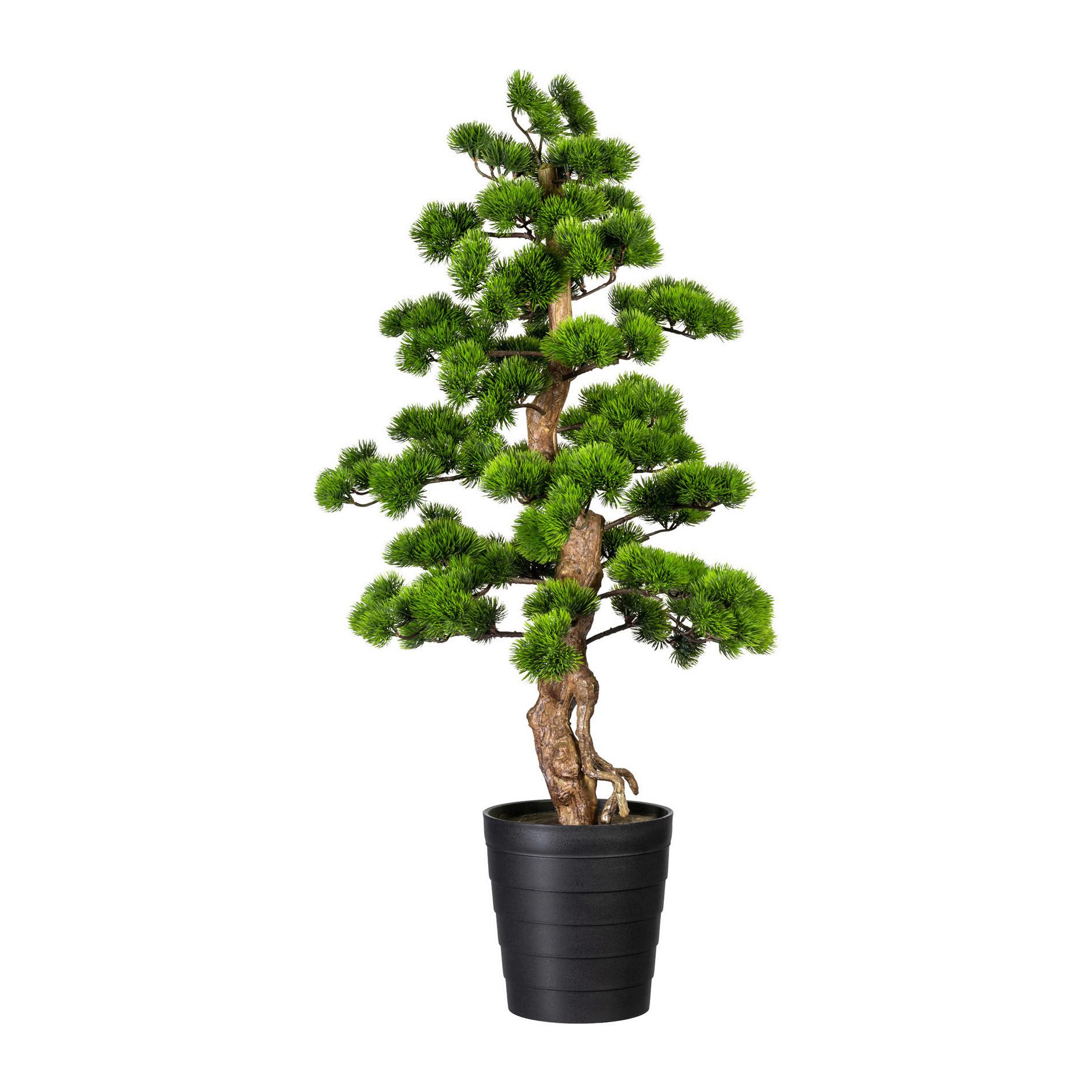 Kunstpflanze Bonsai Grün L: 110 cm mit Topf - Schwarz/Braun, Basics, Kunststoff (50/110cm) - P & B
