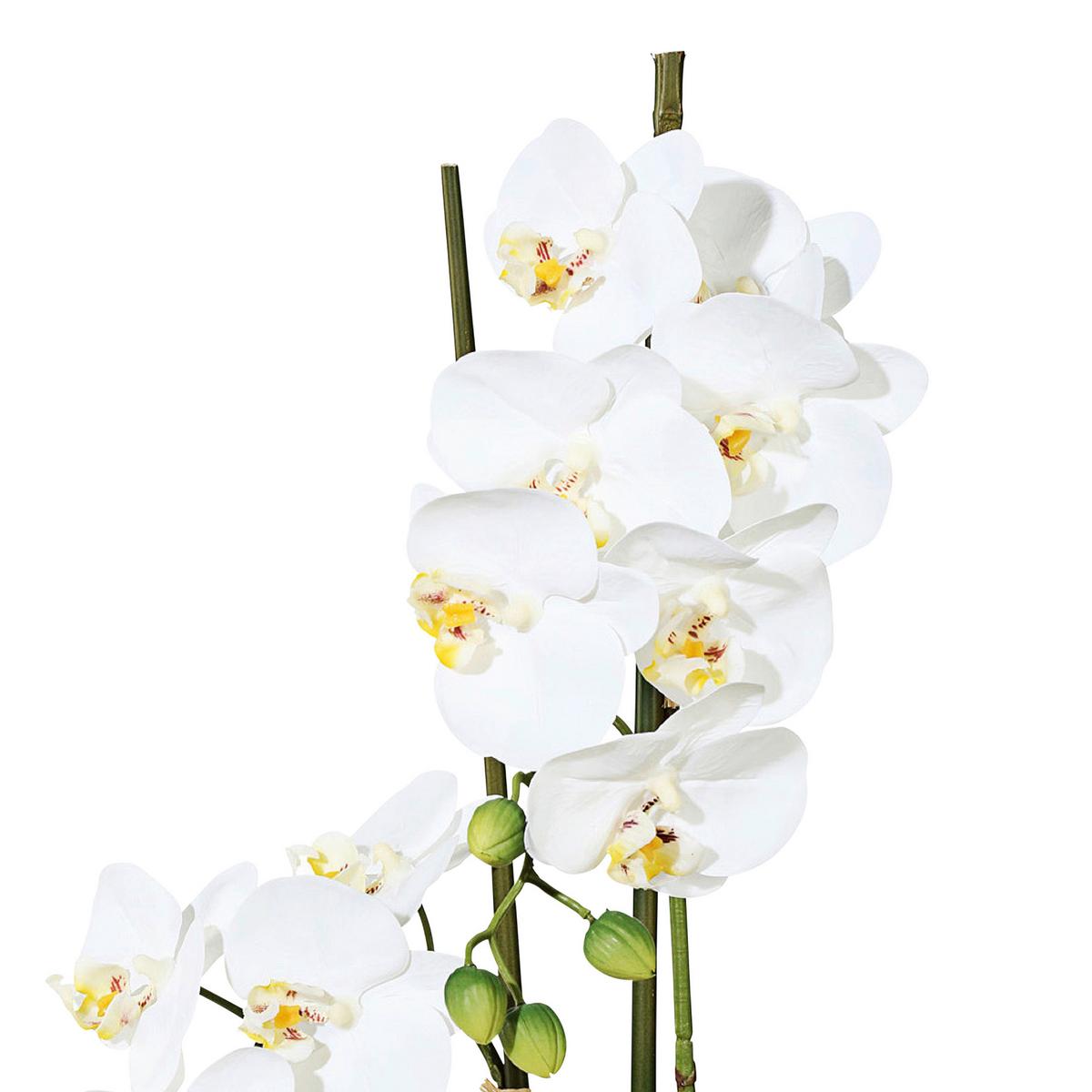 Kunstpflanze Orchideen Weiß, Topf: Weiß, H: 50 cm - Weiß/Grün, Design, Keramik/Kunststoff (50cm) - P & B