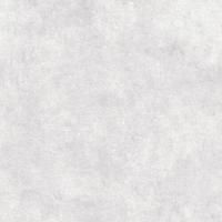 Vliestapete Grau, 53x1000 cm - Grau, Basics, Papier/Kunststoff (53/1000cm)