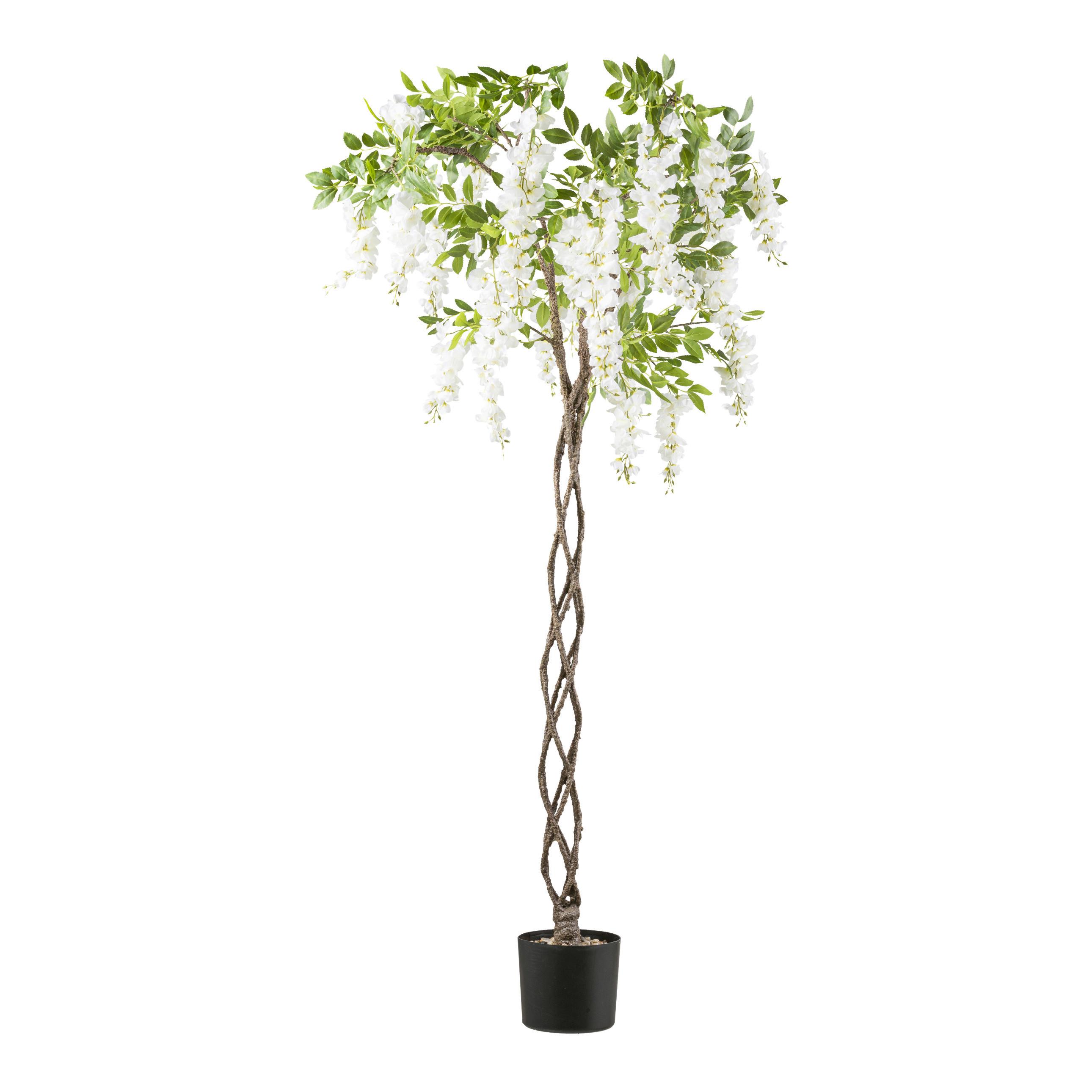 Kunstpflanze H: 170 cm mit Geflochtenem Stamm - Schwarz/Braun, Design, Kunststoff (170cm) - P & B