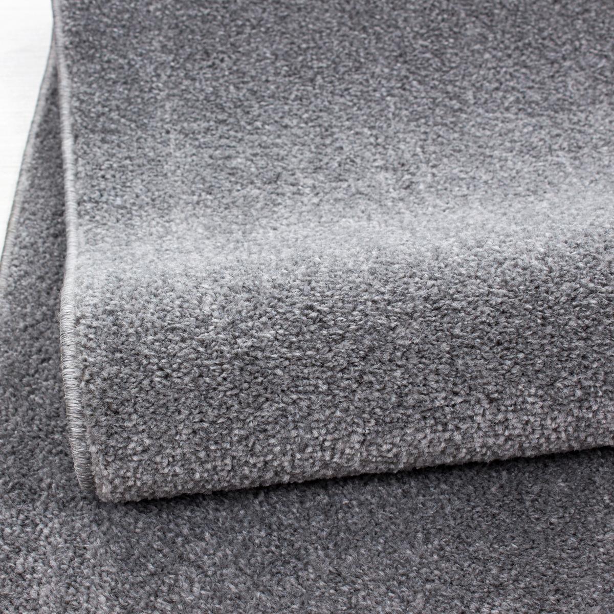 Hochflor Teppich Hellgrau Ata 280x370 cm - Hellgrau, Design, Textil (280/370cm) - Novel