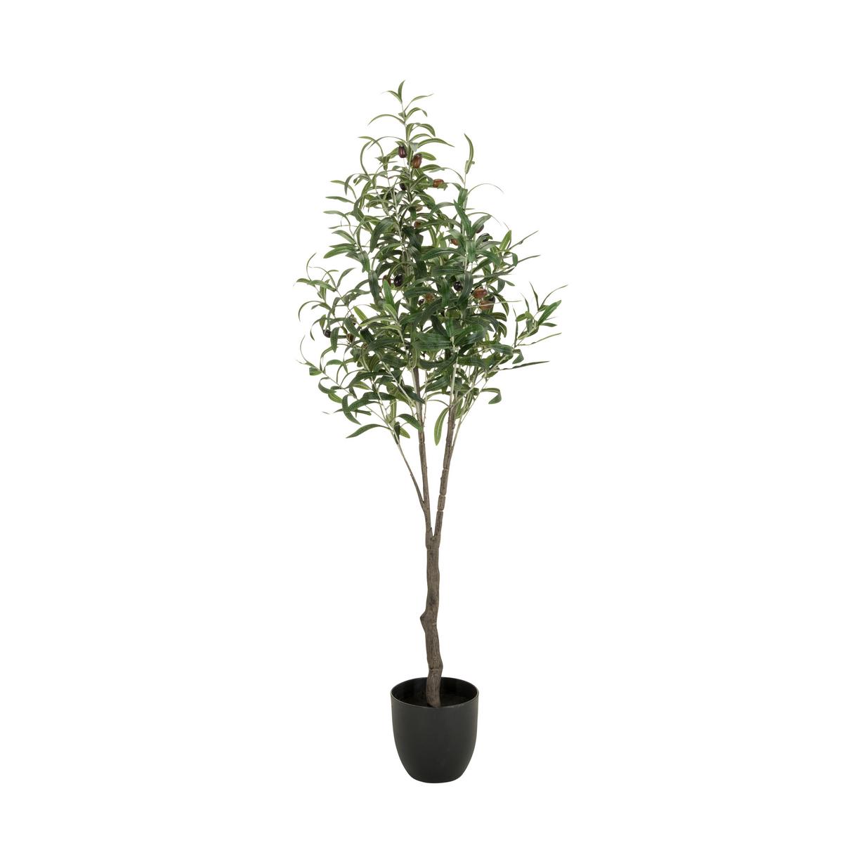 Kunstpflanze Olive - Schwarz/Braun, Basics, Kunststoff (45/120/45cm) - MID.YOU