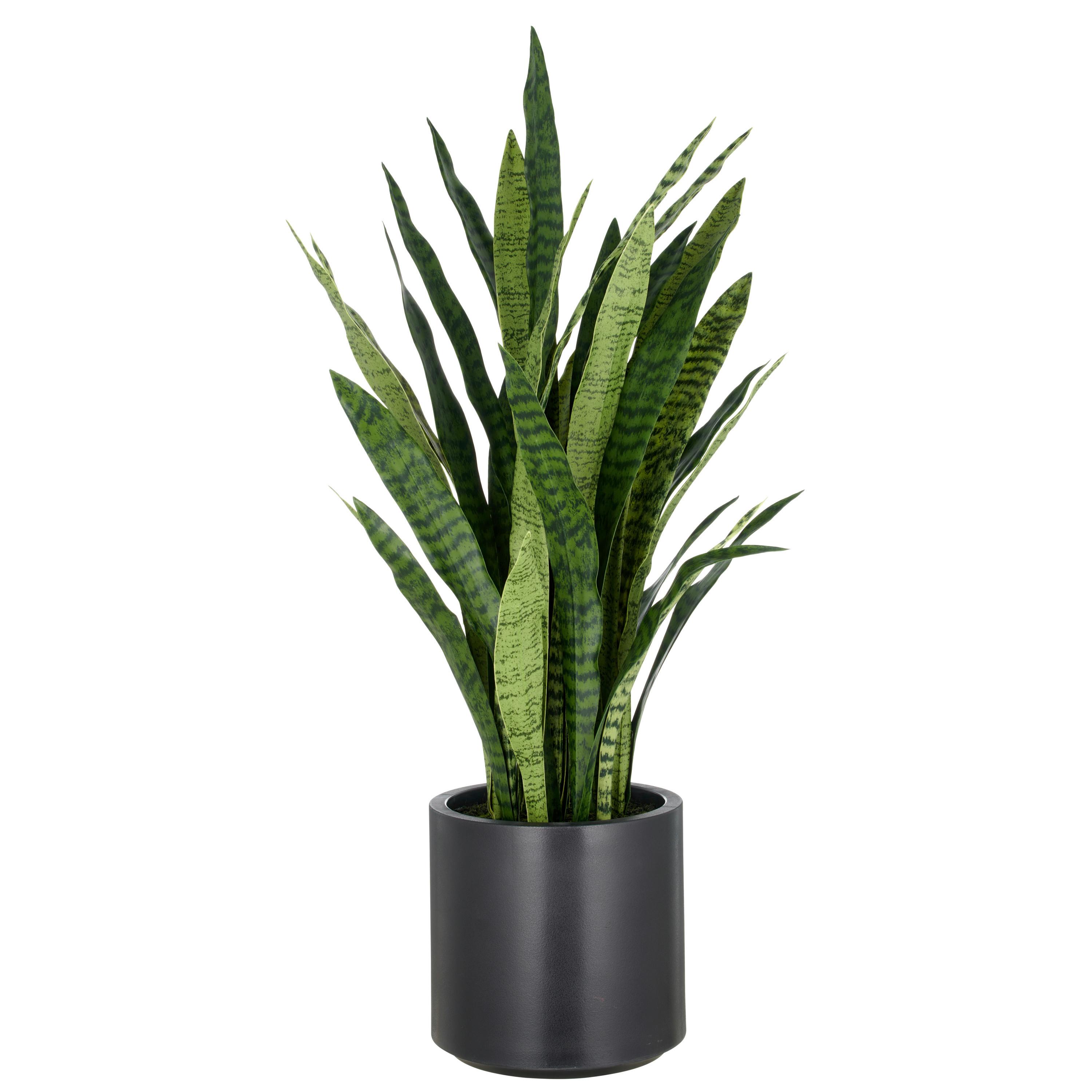 Kunstpflanze Grün Schwarz B: 25 cm - Schwarz/Grün, Basics, Kunststoff (25/105/25cm) - P & B