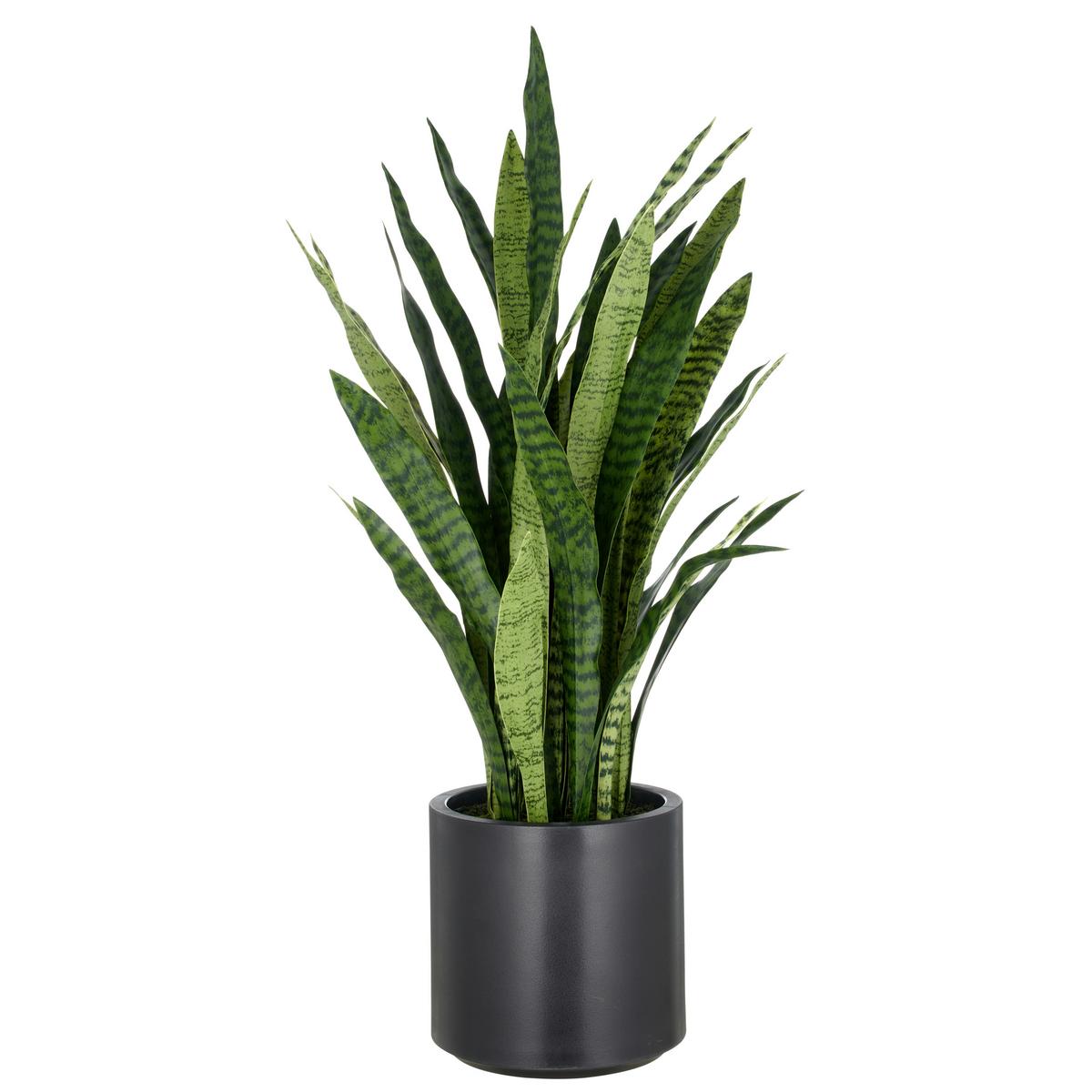 Kunstpflanze Grün Schwarz B: 25 cm - Schwarz/Grün, Basics, Kunststoff (25/105/25cm) - P & B