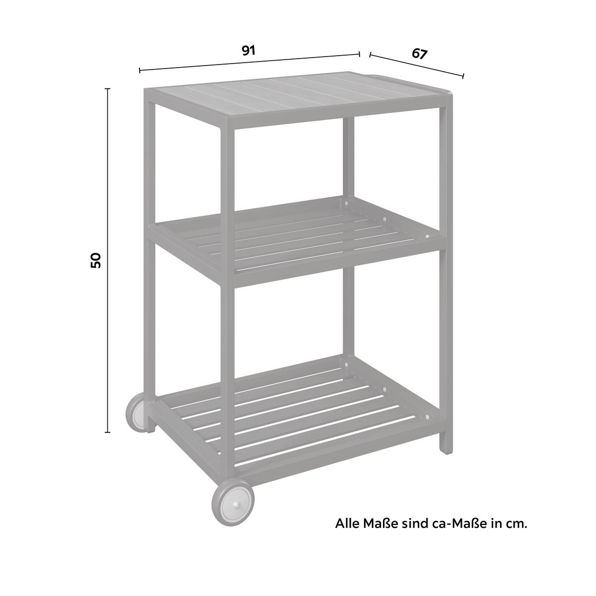 VENKOVNÍ KUCHYNĚ LEVI 1 - přírodní barvy/antracitová, Moderní, kov/plast (67/50/91cm)