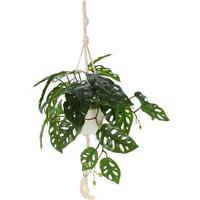 Műnövény Plant - műanyag (13/13/35cm)