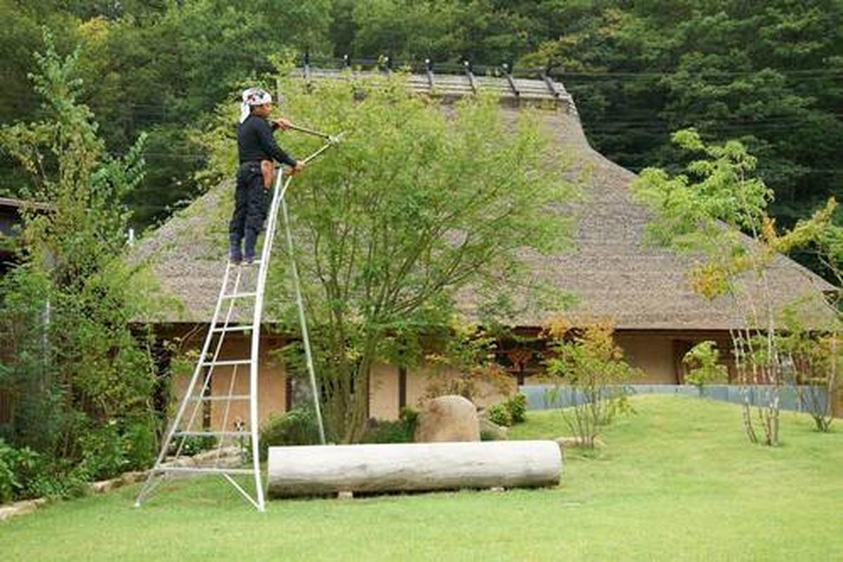 Leiter 3-Holm-Gartenleiter 300cm - Silberfarben, Basics, Metall (231/300/147cm)
