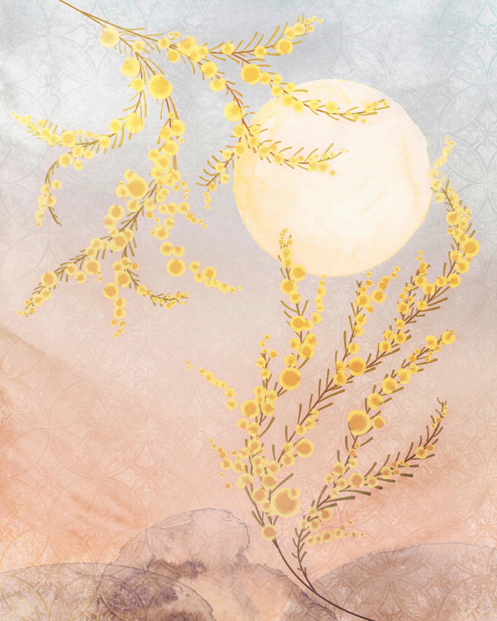 Vliestapete Sol - Multicolor, Basics (200/250cm) - Komar