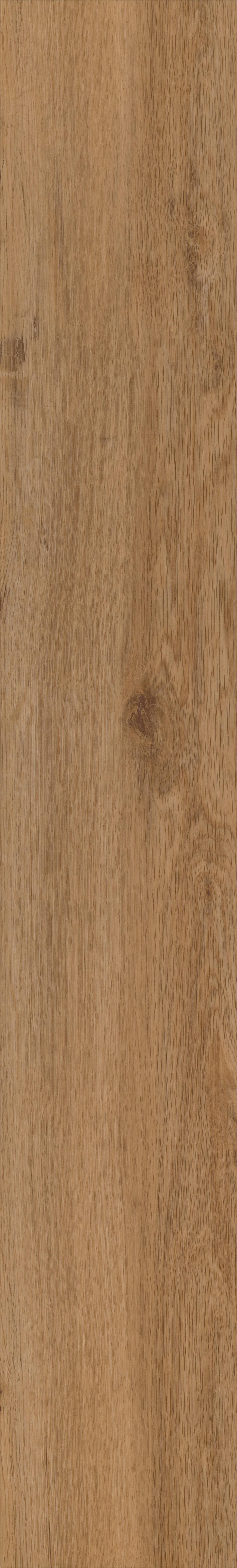 Designboden Eichefarben Landhausdiele Stärke 2,5mm - Eichefarben, Basics, Kunststoff (121.9/18.4/0.25cm)