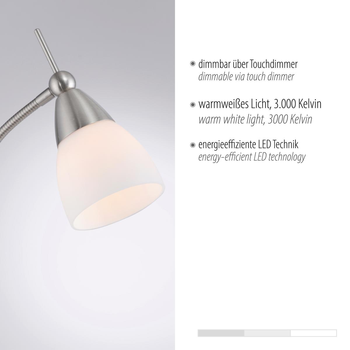 LED-Stehleuchte 400-55 Pino - Edelstahlfarben, Basics, Glas/Metall (74/74/163cm) - Paul Neuhaus
