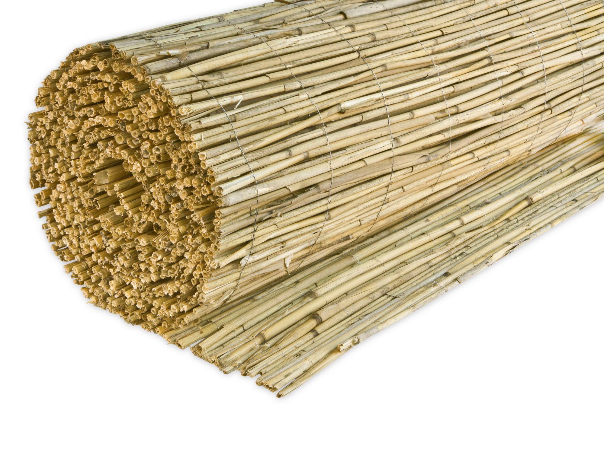 Sichtschutz Nantai Natur Schilf 600x140 Cm - Naturfarben, Basics, Naturmaterialien (140/600cm)