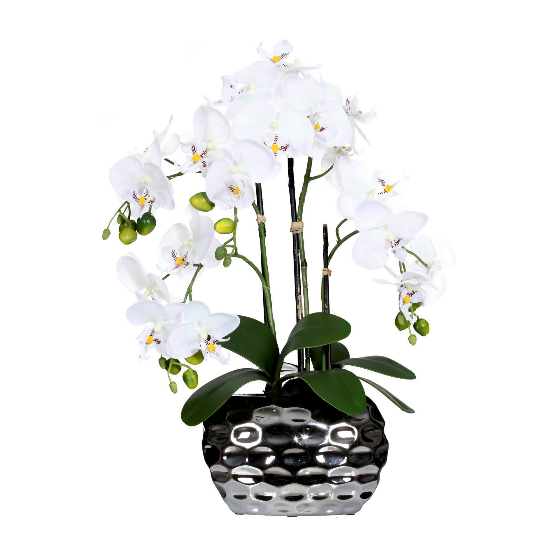 Kunstpflanze Orchidee H: 55 cm - Silberfarben/Weiß, Design, Kunststoff (55cm) - P & B