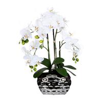 Kunstpflanze Orchidee H: 55 cm - Silberfarben/Weiß, Design, Kunststoff (55cm) - P & B