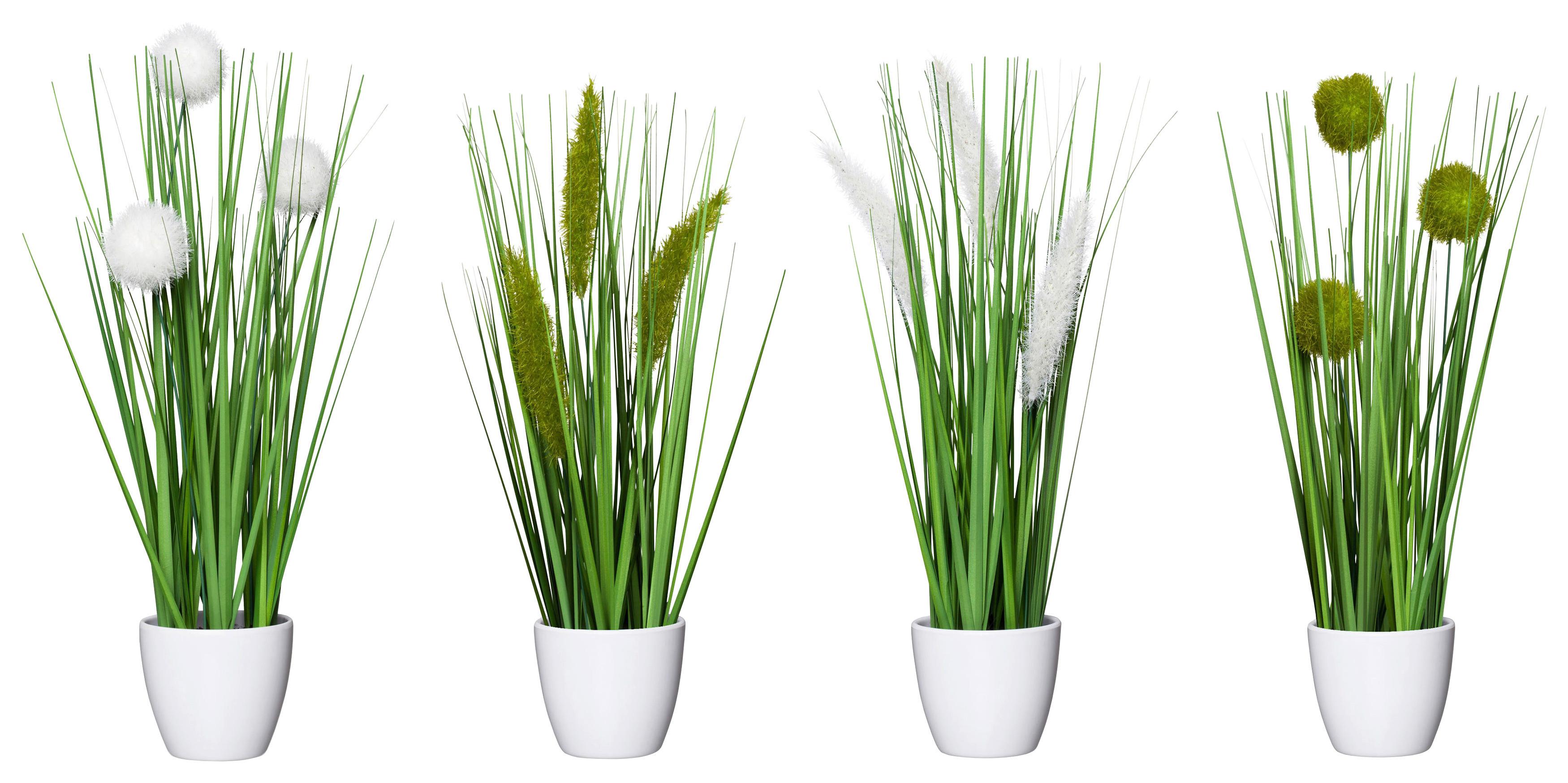 TRS TRÁVY JIMMY - zelená, Konventionell, plast (37cm) - Modern Living