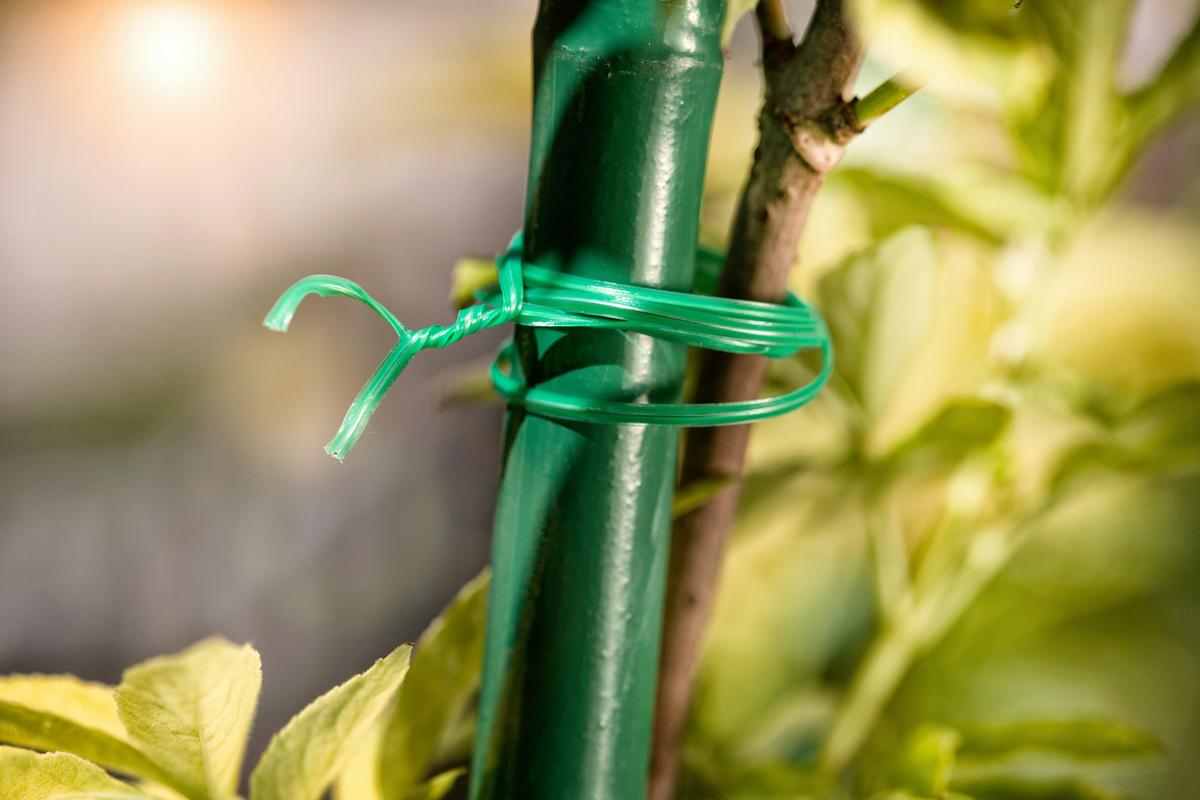 Virágdrót Gartendraht - zöld, Basics, műanyag/fém (1000cm)