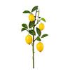 Dekoračná vetvička CITRÓN, výška 68 cm - hnedá/žltá, Konventionell, plast (68cm) - Mömax