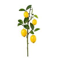 Dekoračná vetvička CITRÓN, výška 68 cm - hnedá/žltá, Konventionell, plast (68cm) - Mömax