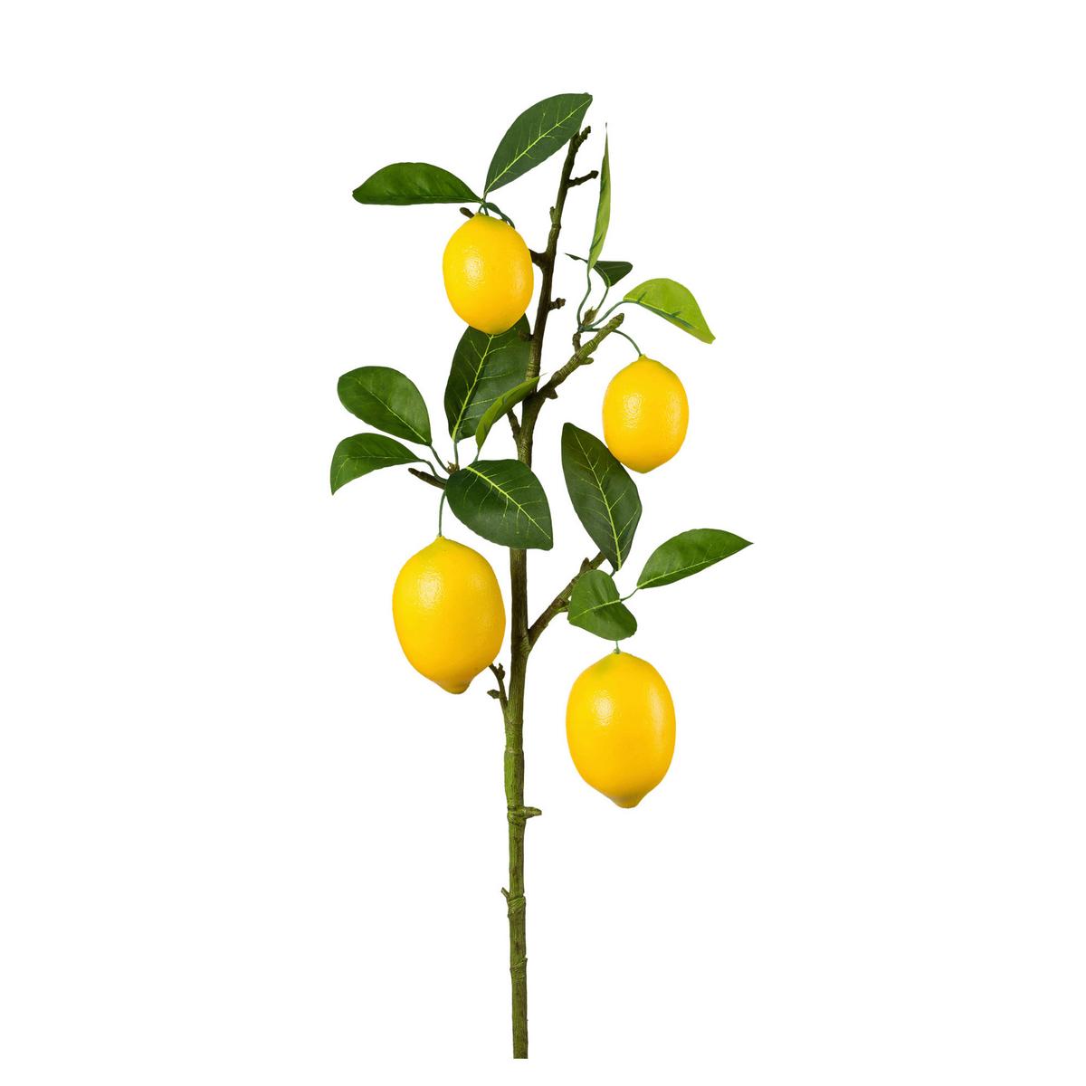 Dekoračná vetvička CITRÓN, výška 68 cm - hnedá/žltá, Konventionell, plast (68cm) - Mömax