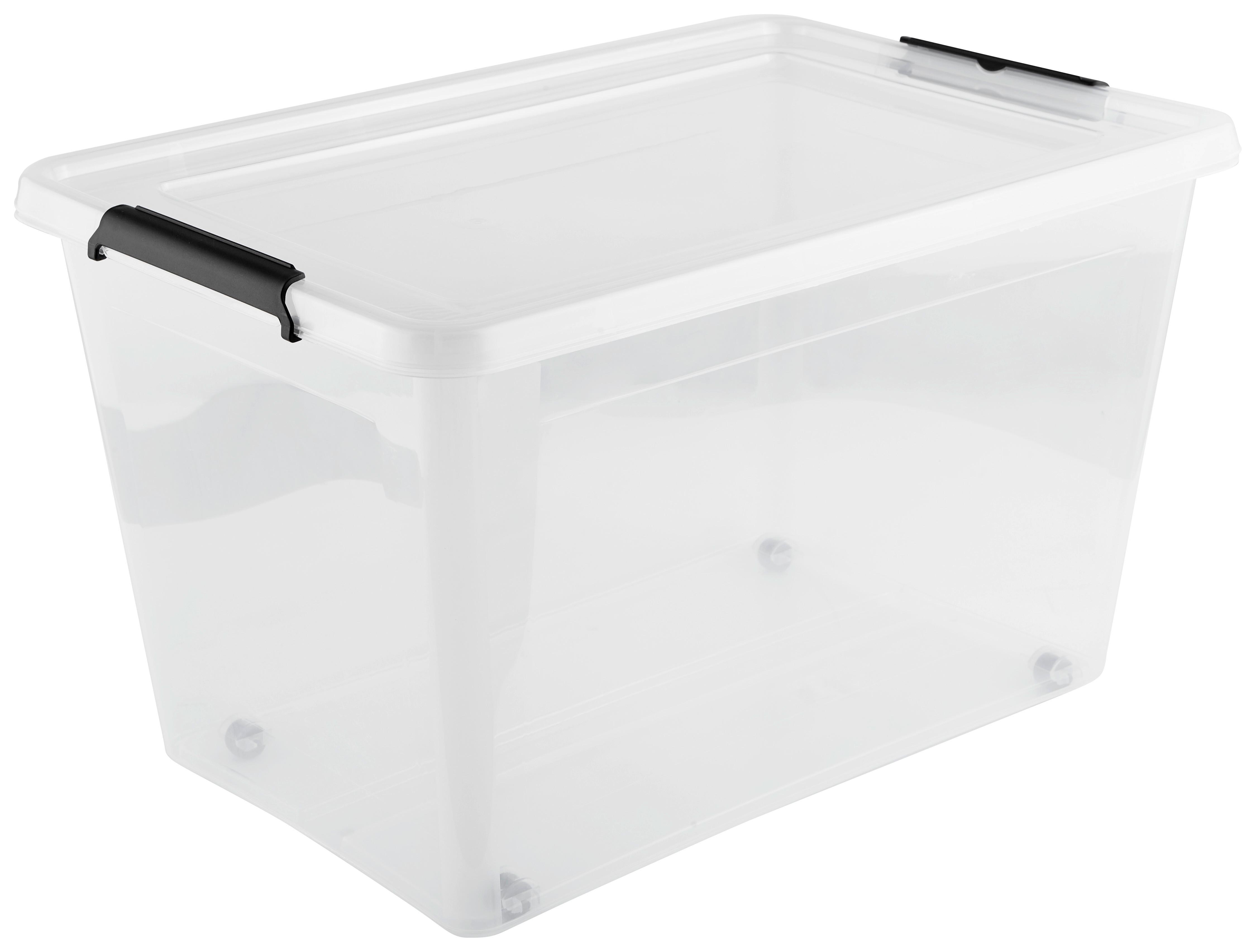 Box S Krytom Rudolf - Ca. 60l - priehľadné, plast (58/39/35cm)