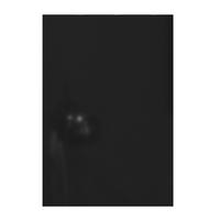 Tür Anthrazit passend zu Unit Elements Midi - Anthrazit, MODERN, Holzwerkstoff (45,3/66,4/1,6cm) - Ondega