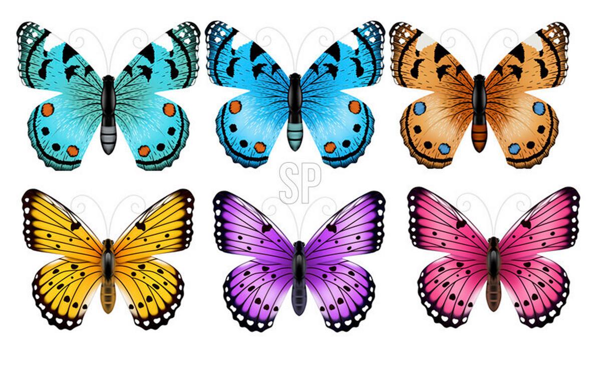 Wanddeko Butterfly - Blau/Pink, Basics, Metall (35/28/0,4cm)