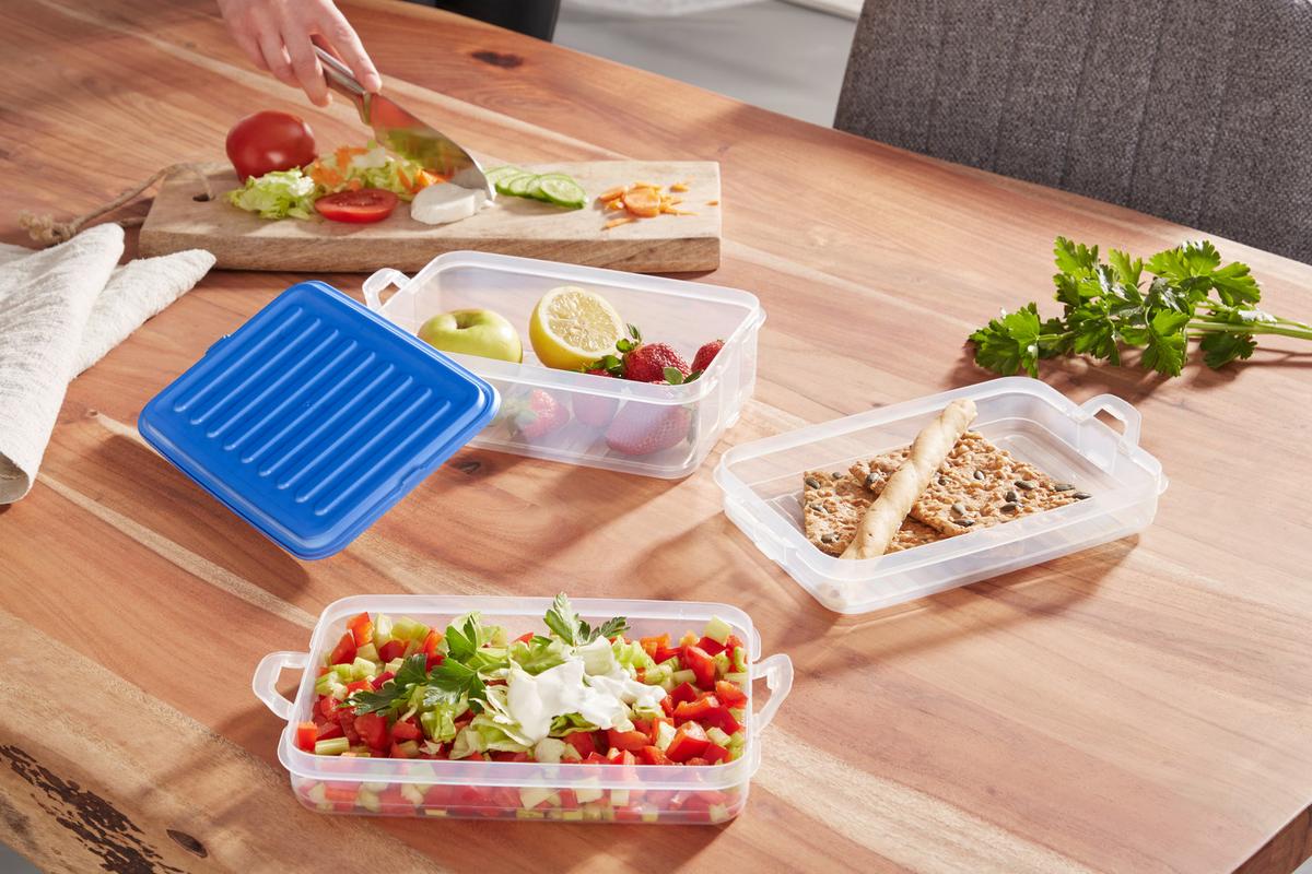 Ételtároló Készlet Alea - áttetsző/kék, Modern, műanyag (15,5/23/12,5cm) - Luca Bessoni