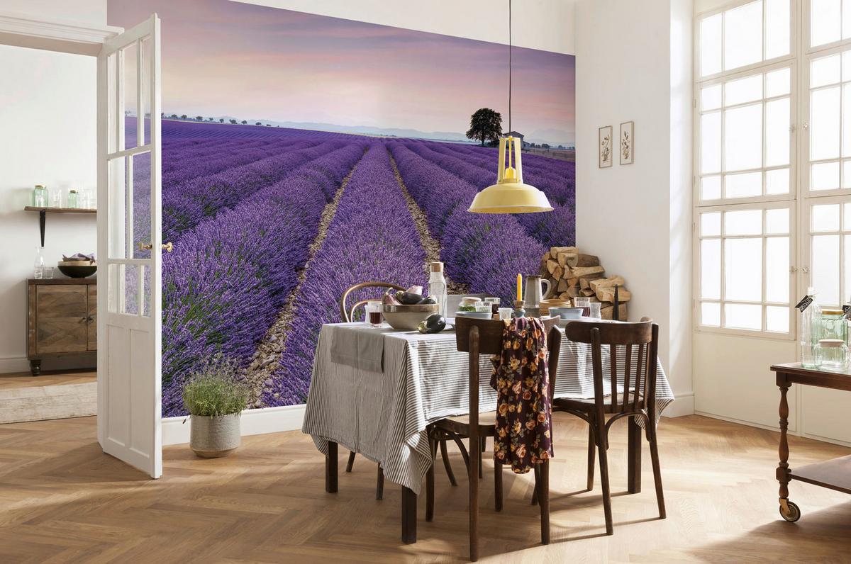 Vliestapete Provence - Lila/Multicolor, Basics (400/260cm) - Komar