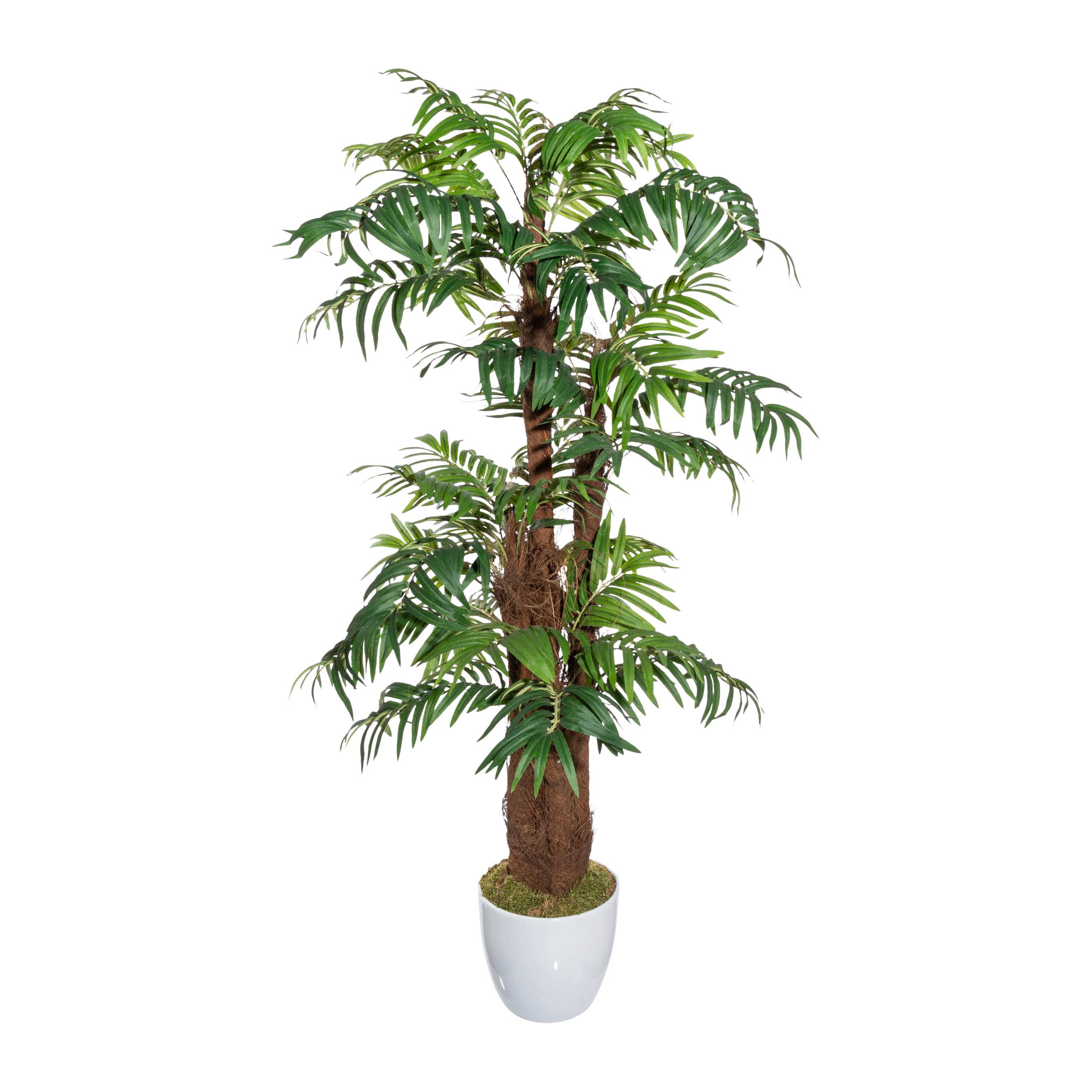 Kunstpflanze Palmen Grün/Braun/Weiß, 150 cm - Braun/Weiß, Design, Naturmaterialien/Keramik (150cm) - P & B